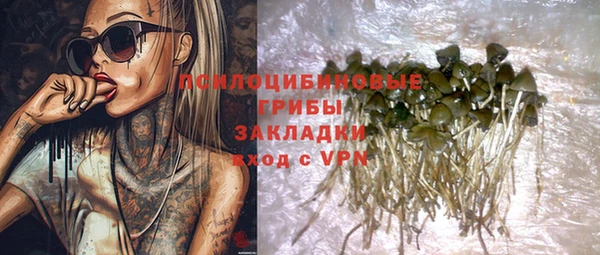 a pvp Алзамай