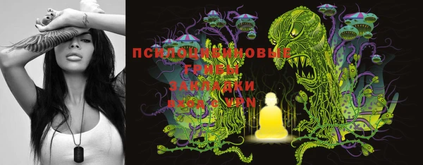 дурь Алексин