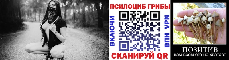 Псилоцибиновые грибы прущие грибы Макушино